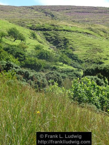 Benbulben